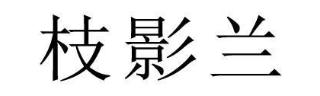 枝影兰