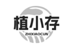 植小存