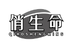 俏生命