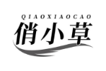 俏小草
