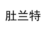 肚兰特