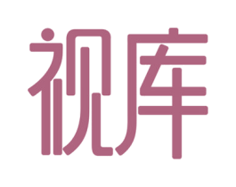 视库