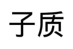 子质