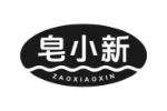 皂小新