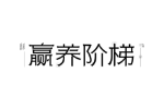 赢养阶梯