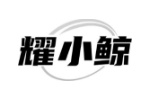 耀小鲸