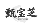 甄宝芝
