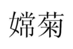 嫦菊