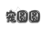 宠圆圆