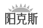 阳克斯