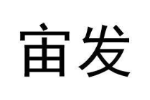 宙发