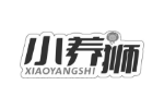 小养狮