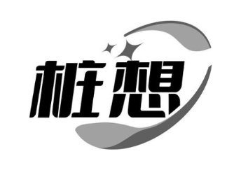桩想