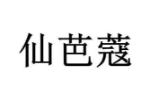 仙芭蔻