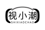 视小潮