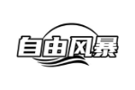 自由风暴