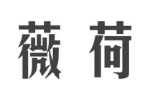 薇荷