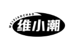 维小潮