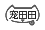 宠田田