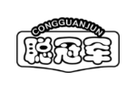 聪冠军