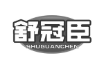 舒冠臣