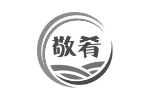 敬肴