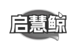 启慧鲸