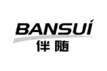 伴随