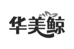 华美鲸