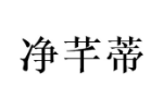 净芊蒂