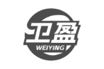 卫盈