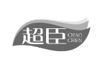 超臣