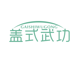 盖式武功