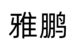 雅鹏