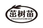 茁树苗