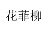 花菲柳