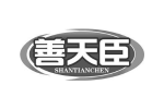 善天臣