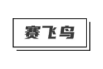 赛飞鸟
