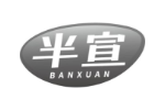半宣