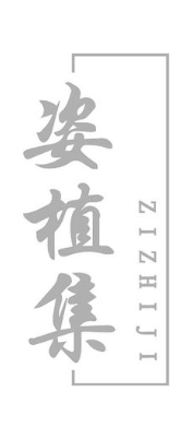姿植集