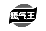 媛气王