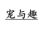 宠与趣