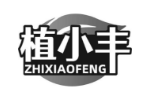 植小丰