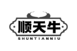 顺天牛