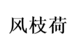 风枝荷