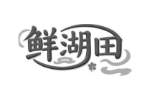 鲜湖田
