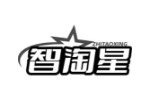 智淘星