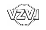 VZVJ