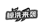 鲸洗来袭