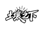 土壤之下